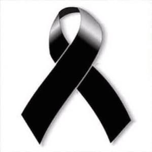 Meet your Posher, Adara